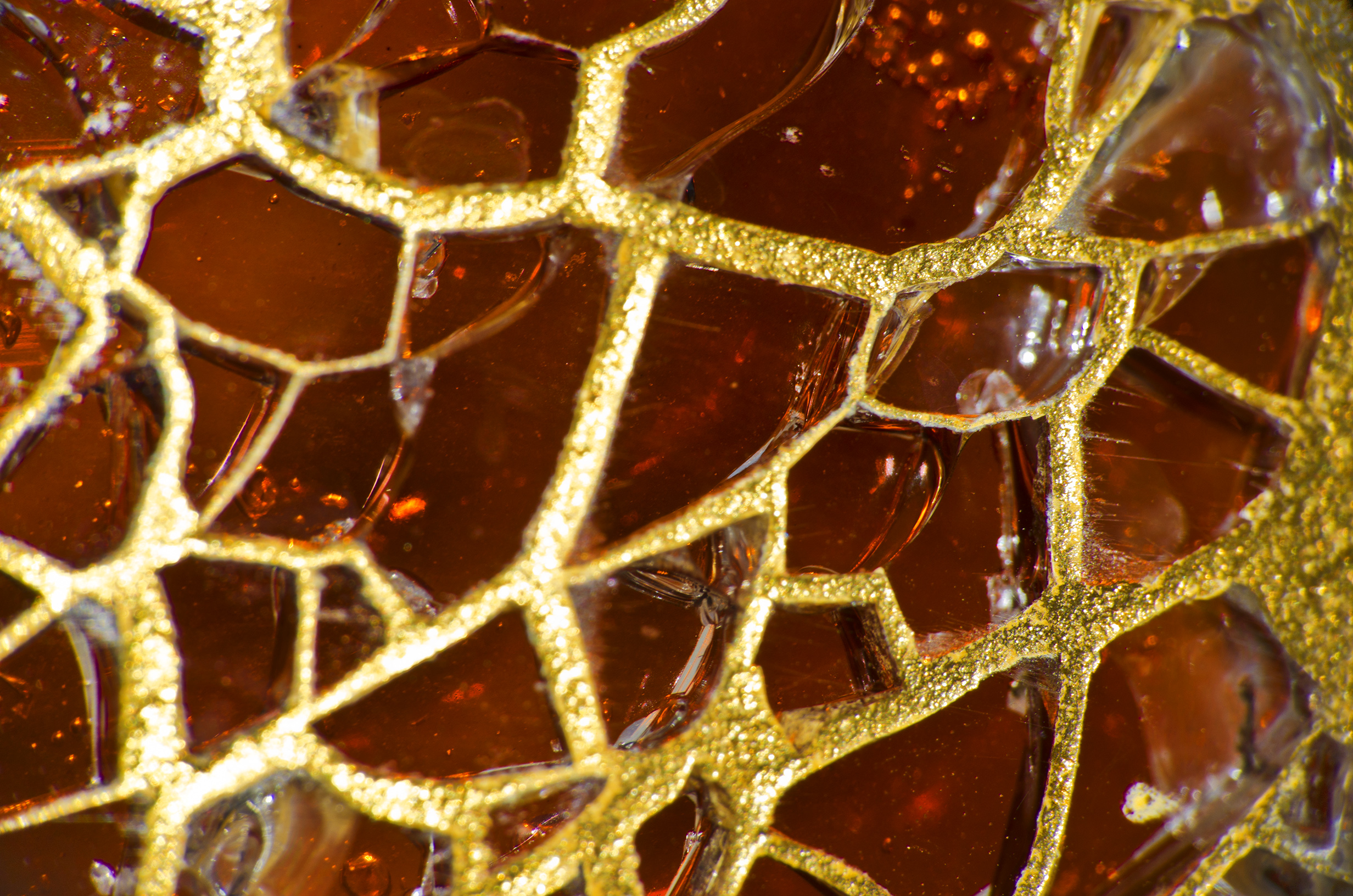 Acknowledgments Banner