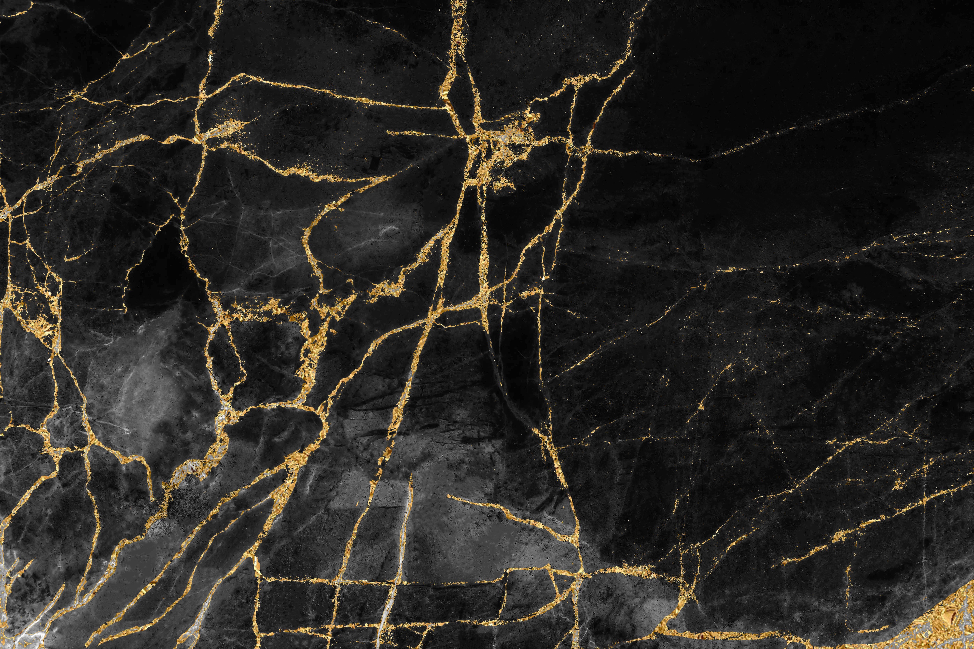 Pro Bono Committee Banner